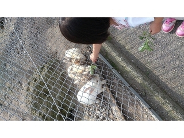 のんびりしてます_やまなみ牧場
