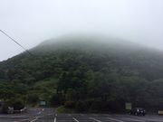 akubi123さんの藺牟田池の泥炭形成植物群落の投稿写真1