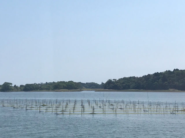 綺麗_松川浦