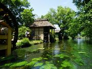 masaさんの安曇野气船 クリアボートの投稿写真2