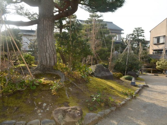 立派な庭園_旧加賀藩士高田家跡