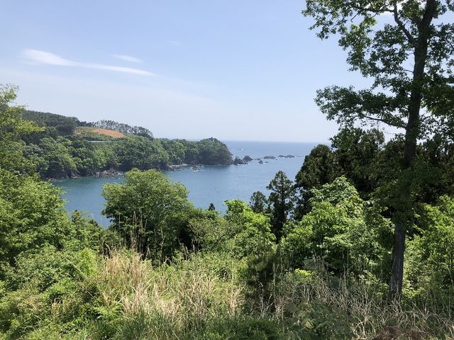 ひげはんさんのフレアイランド尾崎岬の投稿写真1