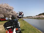 テツワンさんの三刀屋川河川敷公園の投稿写真4