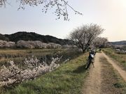 テツワンさんの三刀屋川河川敷公園の投稿写真5