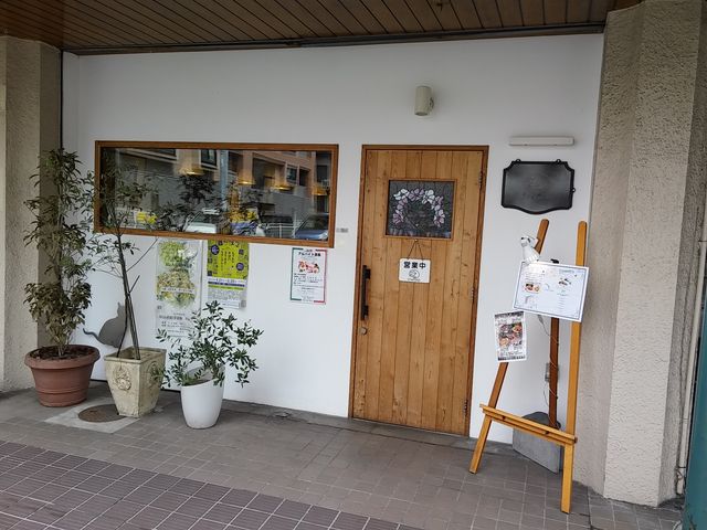 シャトン_シャトン