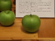 世田谷区等々力の住人さんのりんごの博物館(板柳町ふるさとセンター)の投稿写真1