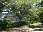 めたぼぼさんの蘇水公園の投稿写真1
