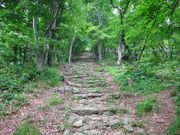ponちゃんさんの赤神神社五社堂の投稿写真2