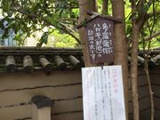 みかんさんの法起院の投稿写真2