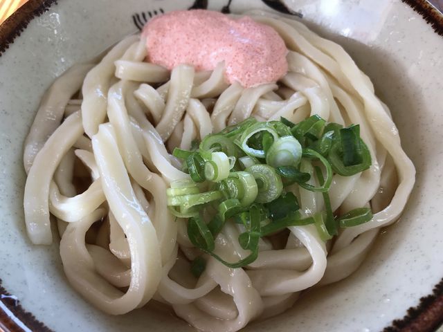 限定メニュー 明太マヨぶっかけ_純手打うどん・よしや