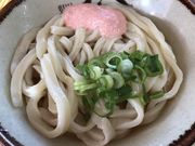 おやかたさんの純手打うどん・よしやの投稿写真1