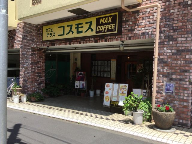 八王子_コスモス
