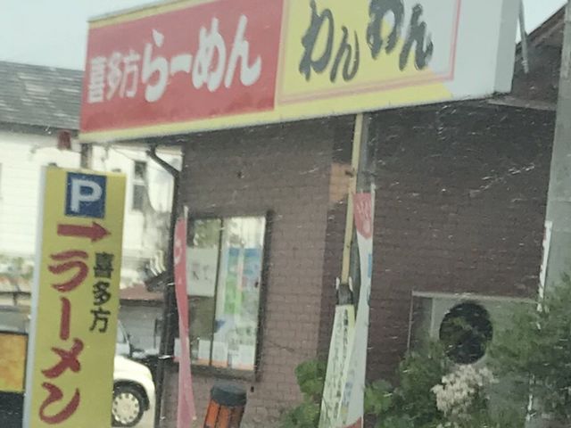 写真_わんわん