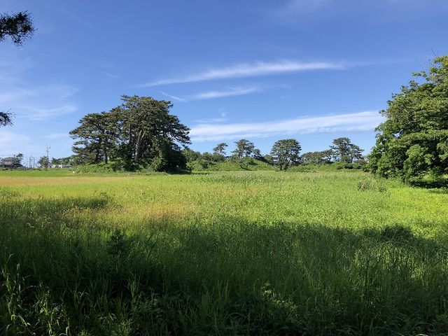 蚶満寺山門付近から眺める陸の松島_天然記念物「象潟」九十九島