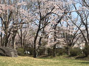 TXLさんの三里塚記念公園の投稿写真1