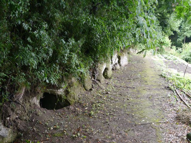 kateさんの神成横穴古墳群の投稿写真2