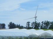 kenkenさんのサンドヒル鳥取 サンサンメロン園の投稿写真1