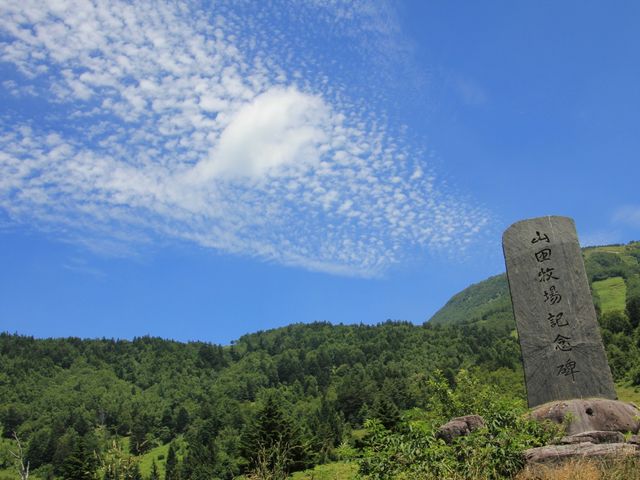 夏の青空に映える_山田牧場