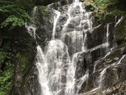 poporonさんの季節・期間限定のスポット〜夏〜の投稿写真5