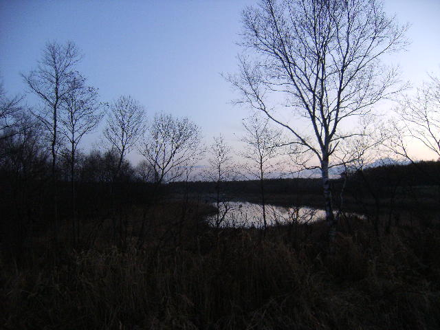 u-minさんの根釧原野の投稿写真1