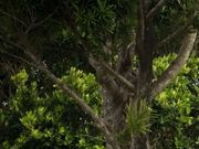 さーぴーさんの竹香園の投稿写真1