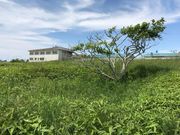 topologyさんの春採台地堅穴群の投稿写真1