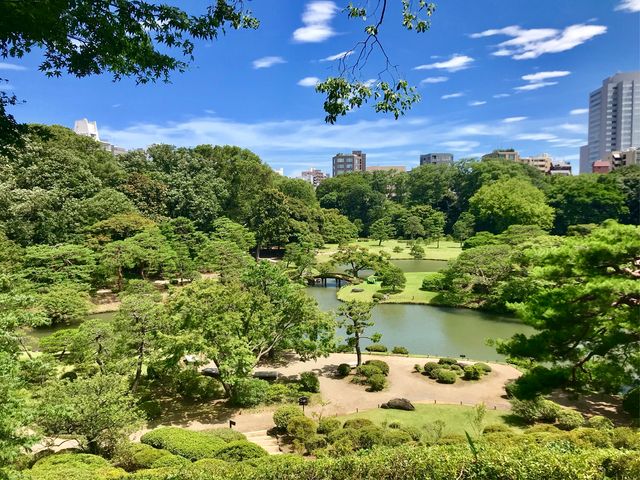 【六義園 藤代峠】嵐の去った日のお昼ごろ_六義園 藤代峠