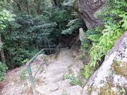 こぼらさんの笠置山自然公園の投稿写真1