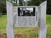 たかちゃんさんの矢沢の柏の投稿写真1