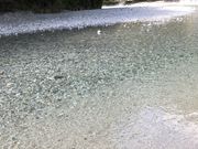 りちさんの大滝キャンプ場の投稿写真1