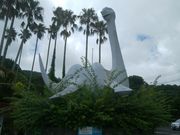 きょうさんの池田湖の投稿写真2