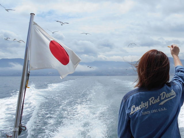 海鳥にお菓子を投げるとたくさん追いかけてきて食べます。_小樽海上観光船