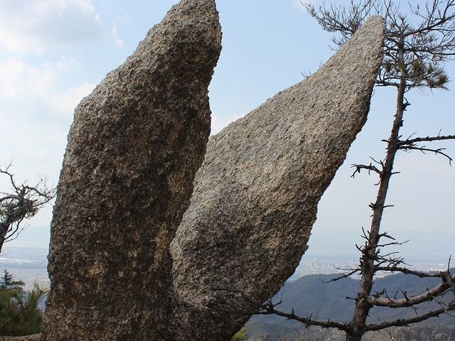 じゃんけんぽん!_金勝山