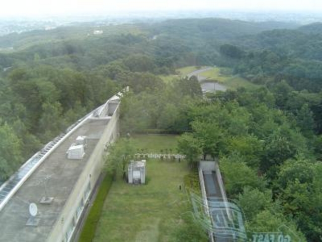 公園_物見山のツツジ