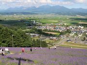 たかちゃんさんの北星山 ラベンダー園の投稿写真2