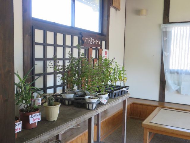 館内_道の駅 あいの土山