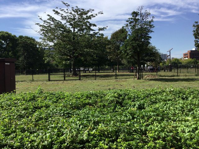 木場公園_木場公園
