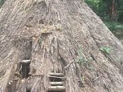 Kuda12さんの代々木八幡遺跡の投稿写真1