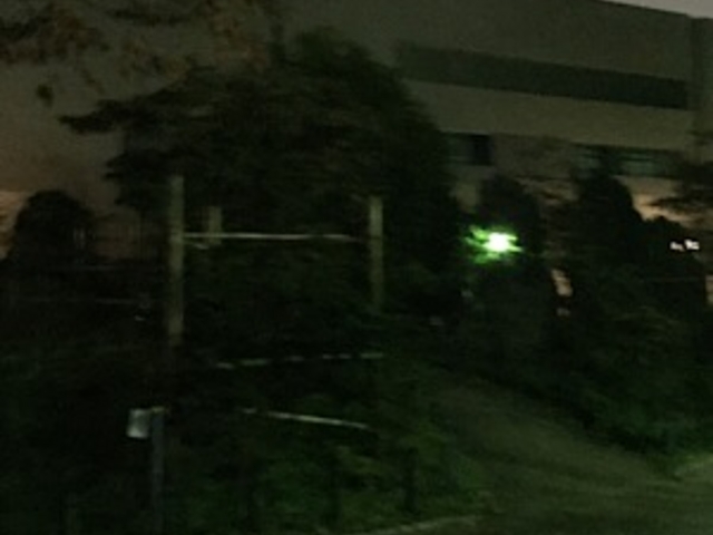静かです。_平成つつじ公園