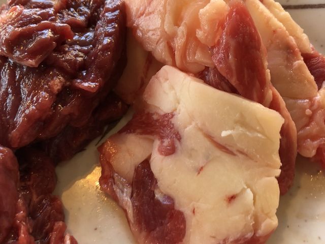 馬の焼肉が楽しめます_レストランささ木
