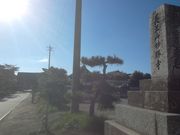 サビ猫さんの妙勝寺の投稿写真1