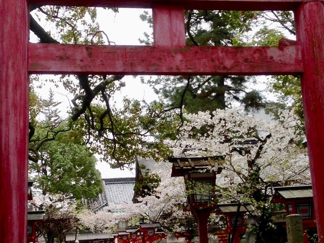 安井金比羅宮_安井金比羅宮