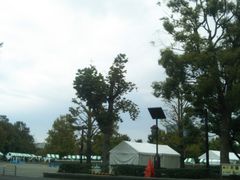 usaさんの木場公園への投稿写真1