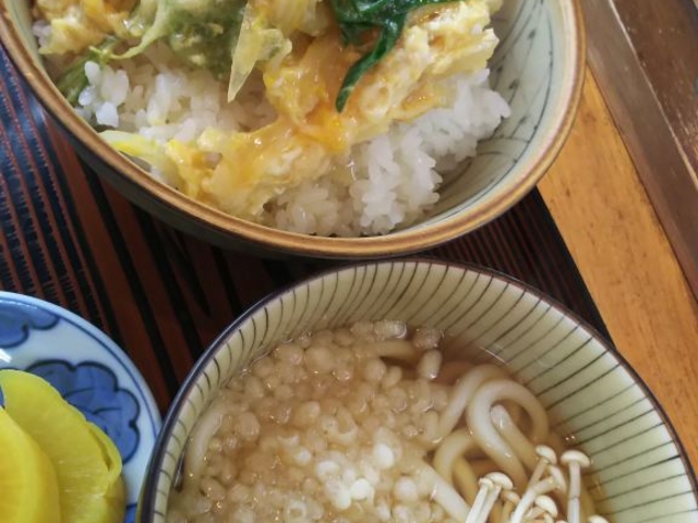 天丼とうどん_かきうち