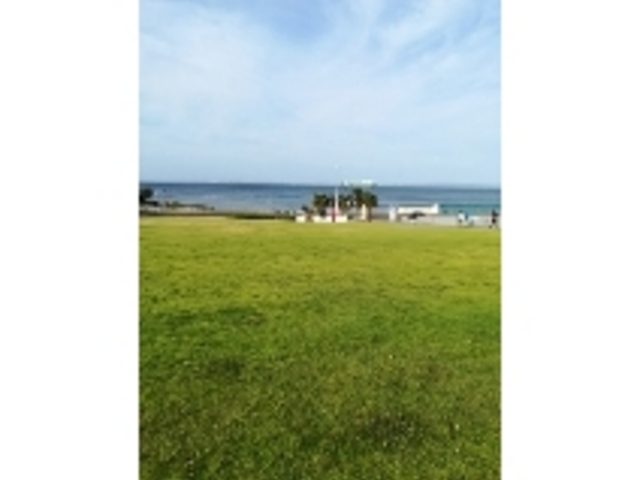 美術館から眺める海_横須賀美術館