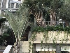 ぴこさんのGinza Sony Parkへの投稿写真1