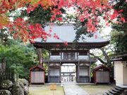 こぼらさんの三國神社の投稿写真1