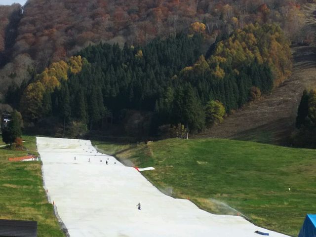 下から見たサマーゲレンデ_野沢温泉スキー場