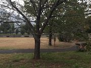 Kuda12さんの中央公園の投稿写真1