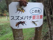 MARUさんの丹波年輪の里の投稿写真1
